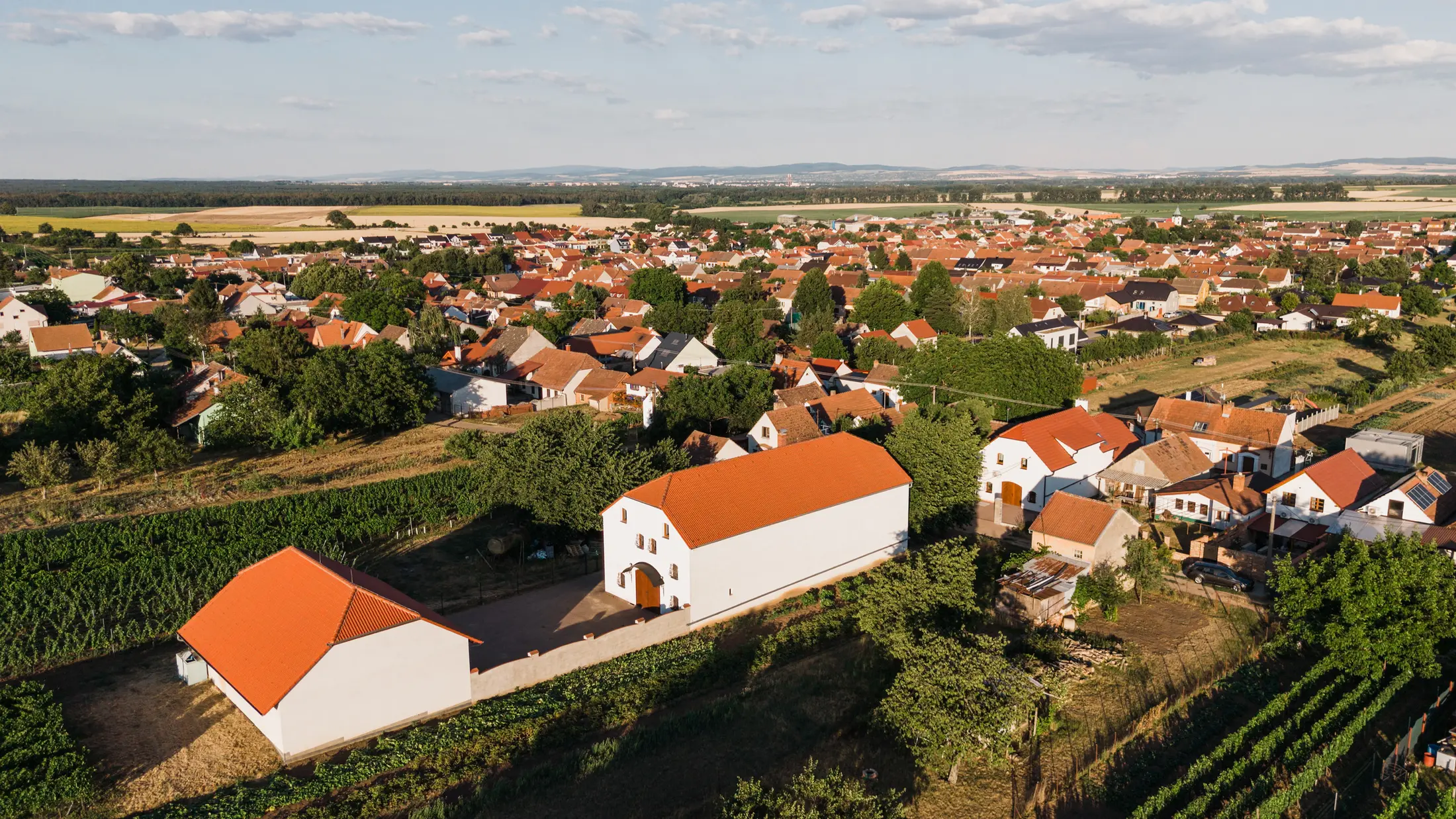 Vinařství Víno Bohun mezi vinicemi v Dolních Bojanovicích